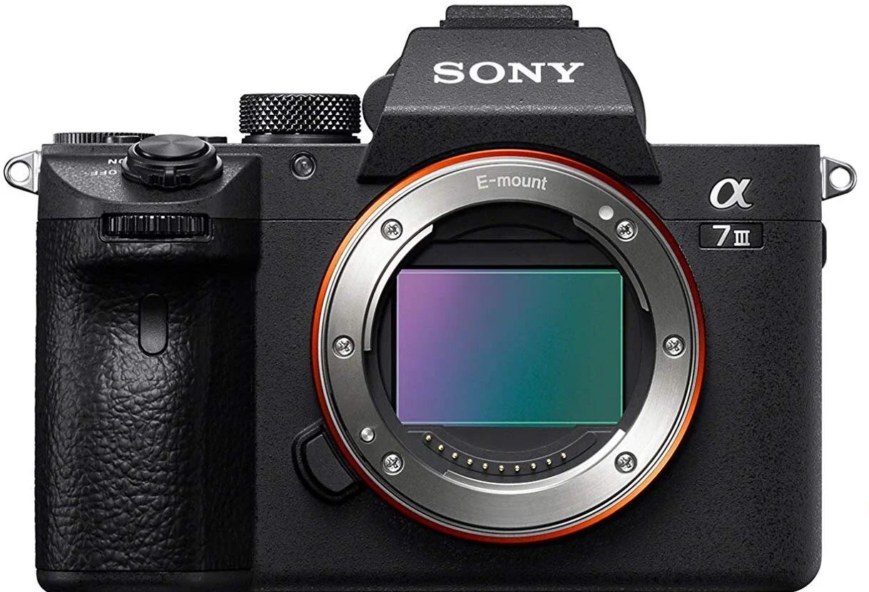 Sigma 35MM Art E Mount Review — Live Art Love